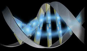 Proyecto Genomes Unzipped
